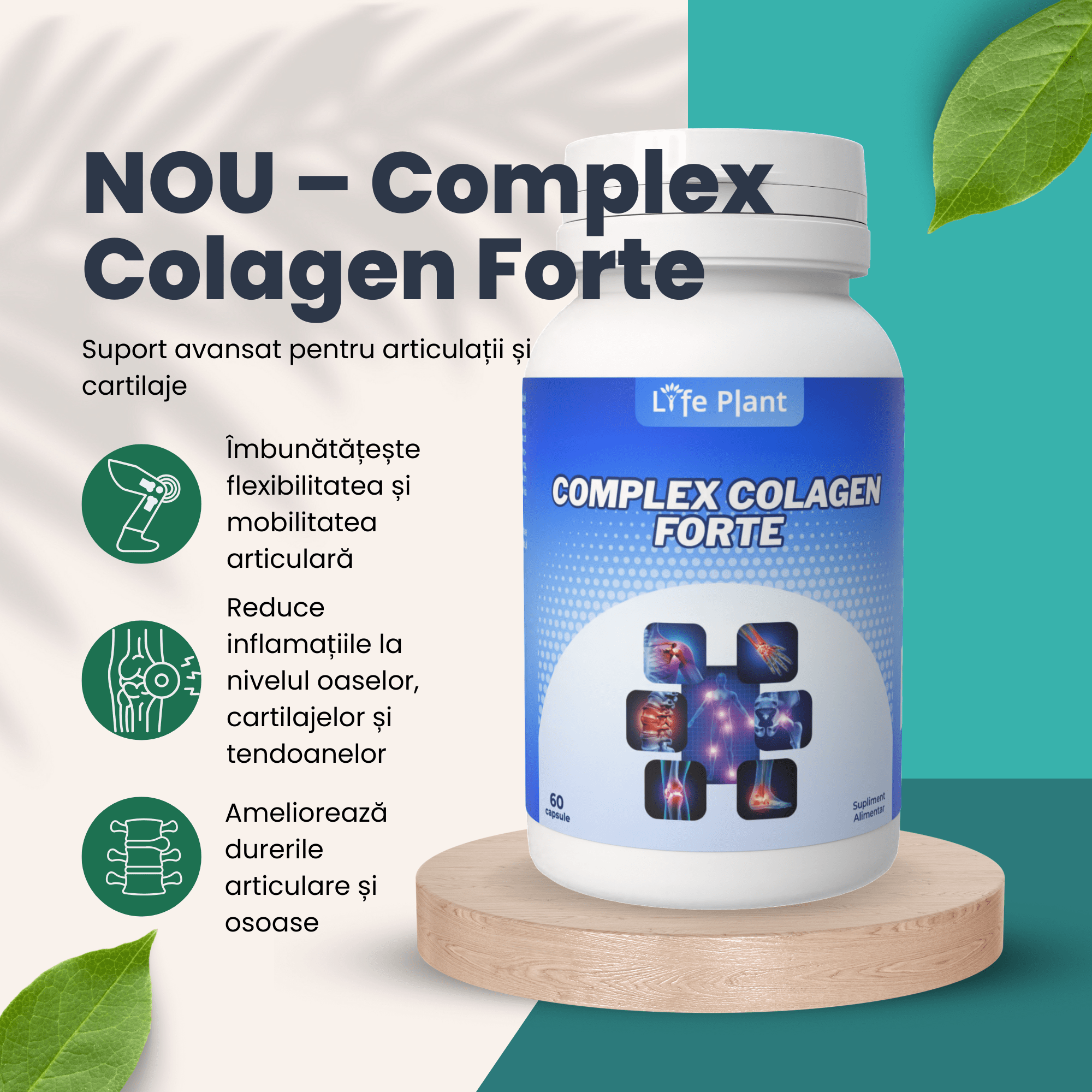Complex Colagen Forte 2
