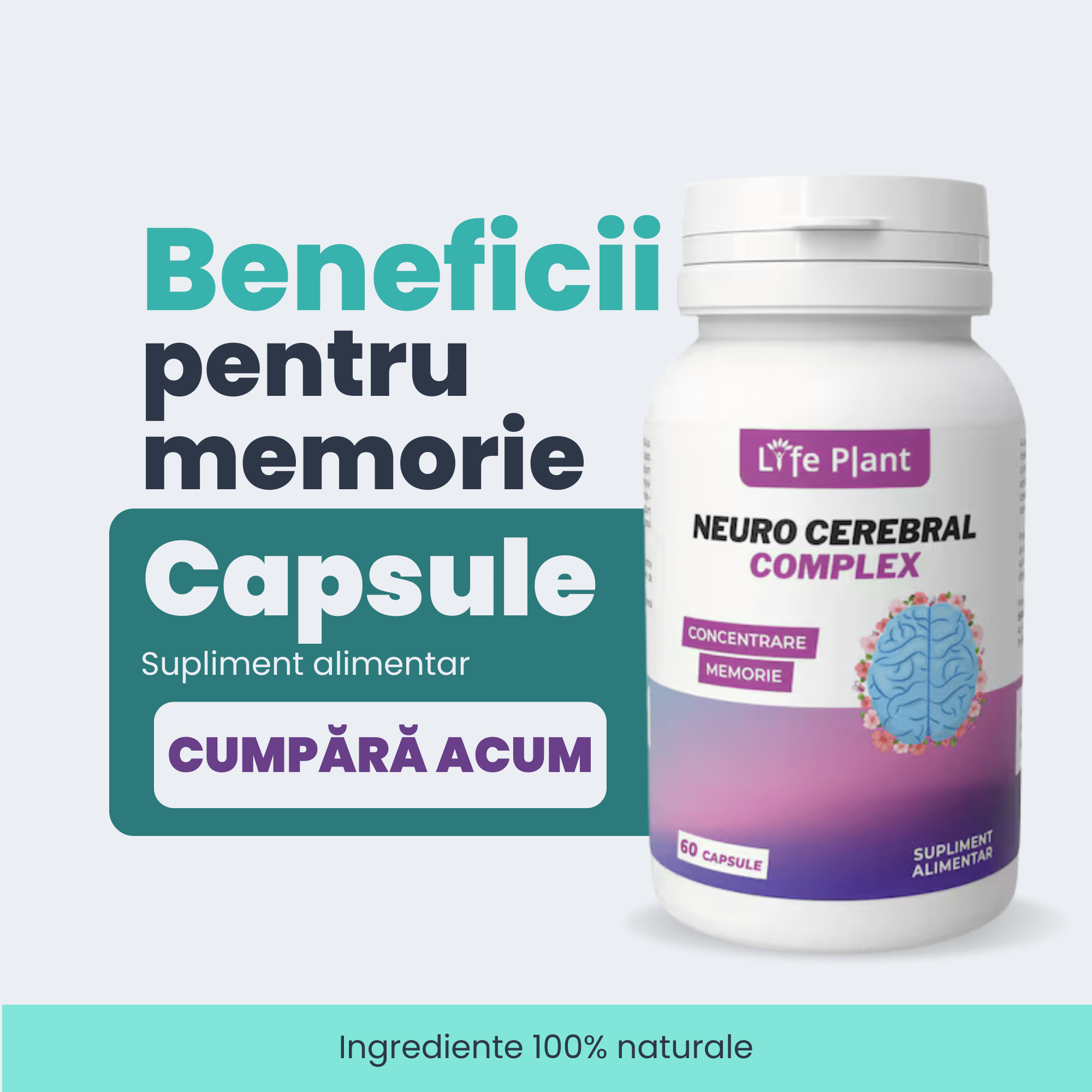 neuro complex cerebral 1