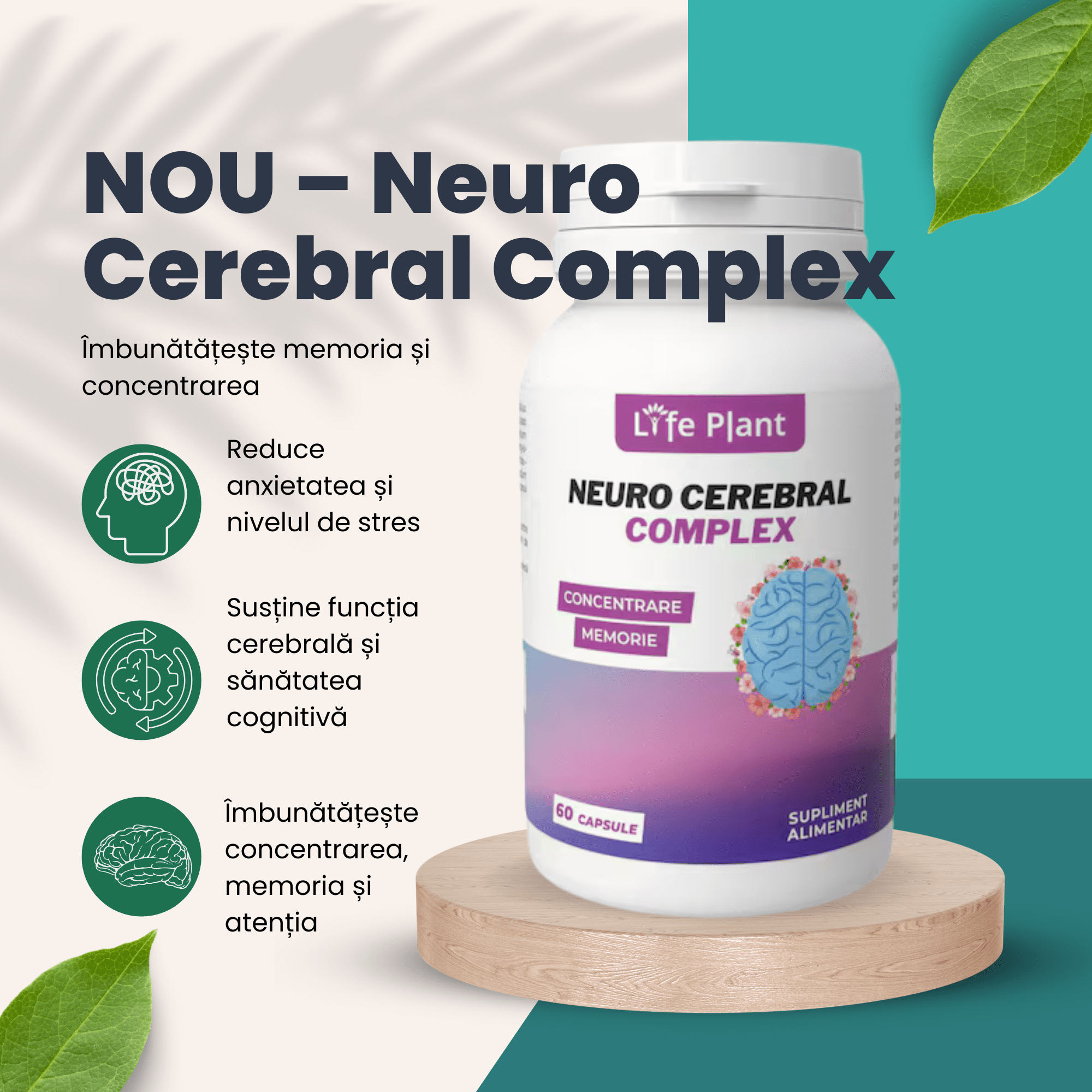 neuro complex cerebral 2