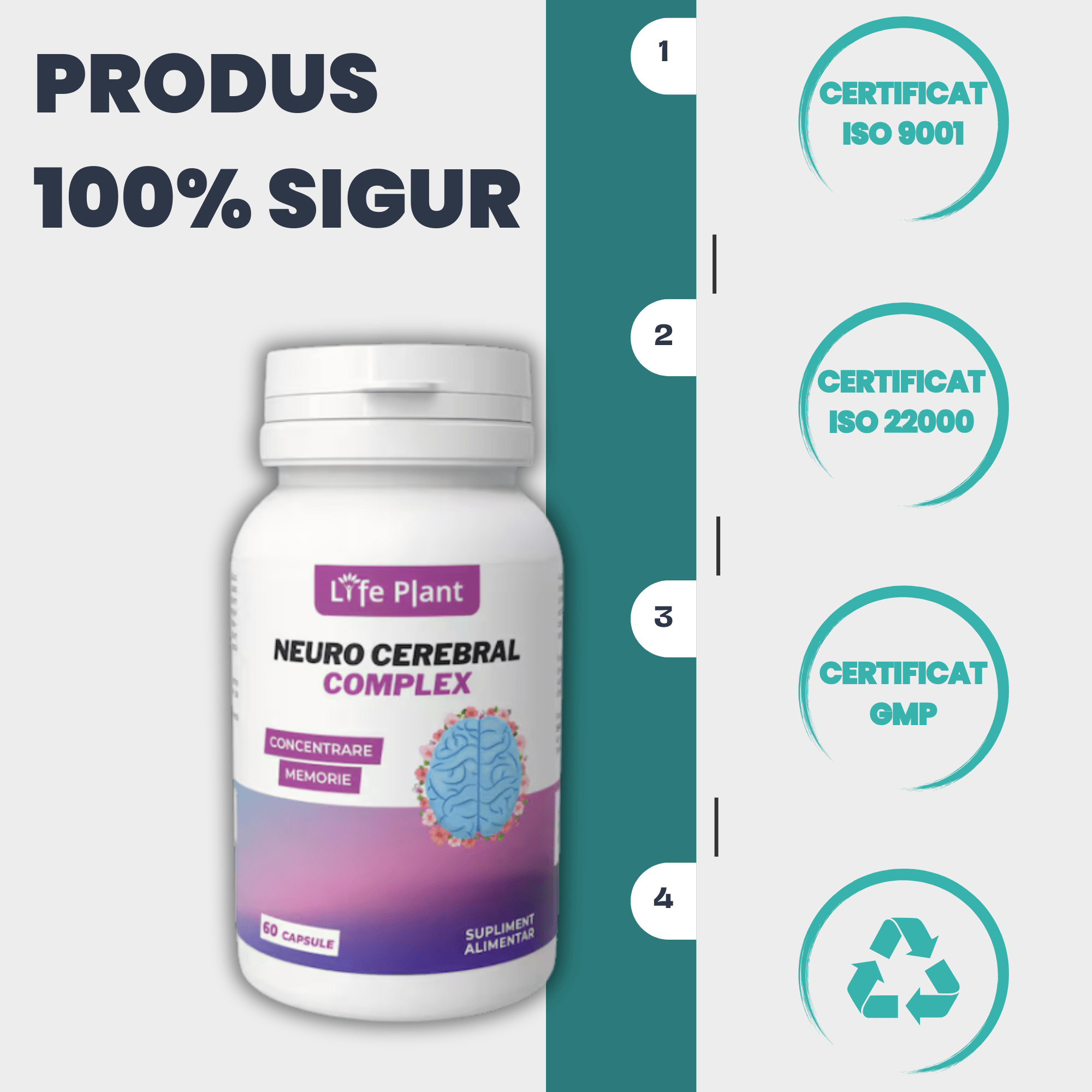 neuro complex cerebral 3